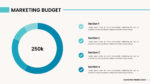Marketing Budget Plan Ppt 14