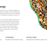 biomass energy presentation template for google slides