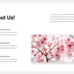 About Us Slide of Spring Google Slides Themes