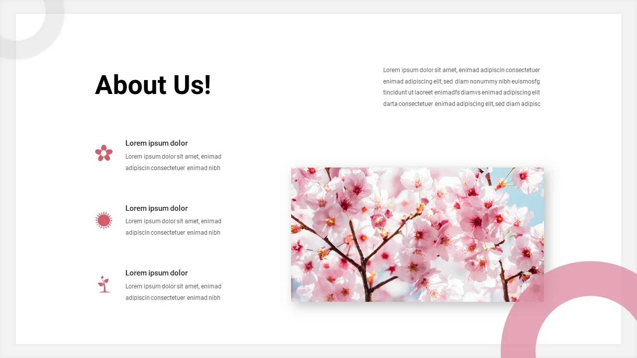 About Us Slide of Spring Google Slides Themes