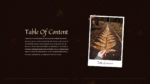 Autumn Ppt Table of Content Template