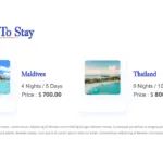 Details of places to stay slide for Travel google slides template