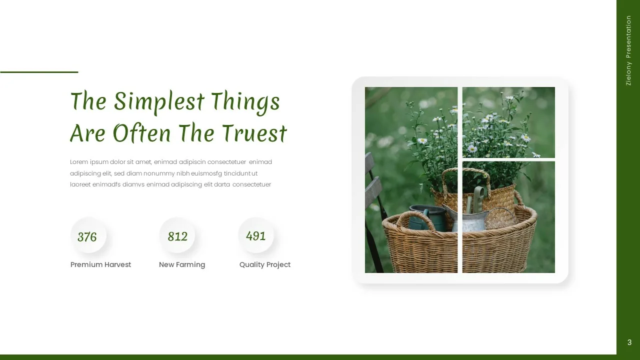 Google Slides Nature Theme Template