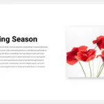 Google Slides Spring Theme Template with a flower image