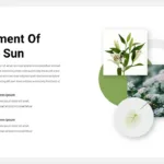 Google Slides Spring Theme with Creative Infographics