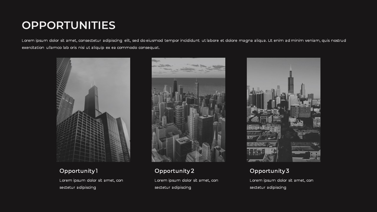Monotone presentation template for google slides company opportunities slide