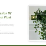 Nature Themed Google Slides Template with Image of a Plant