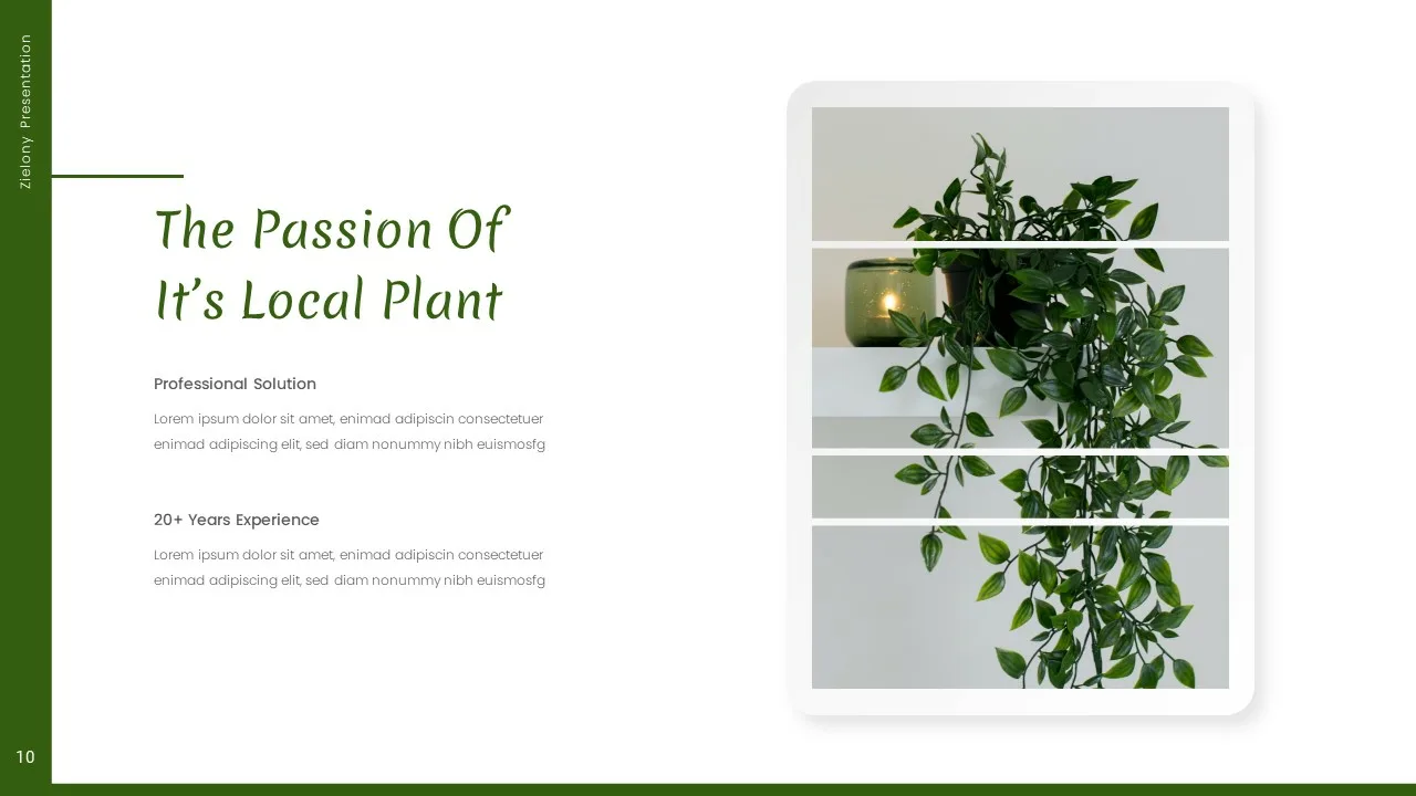 Nature Themed Google Slides Template with Image of a Plant