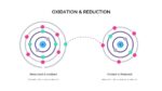 Oxidation and reduction reaction details slide for free chemistry google slides template