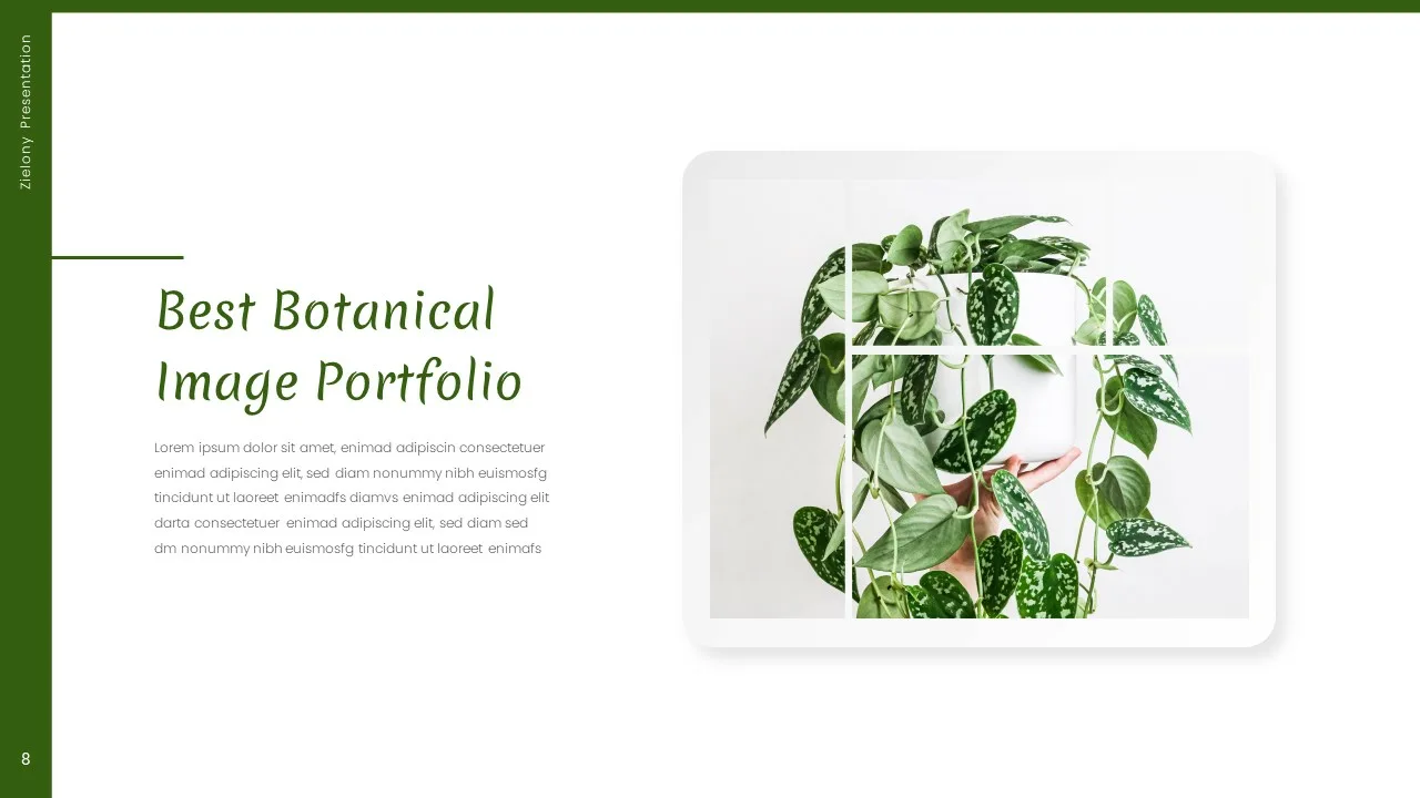 Simple Nature Presentation Templates for Google Slides