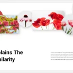 Spring Google Slides Templates with Aesthetic Images