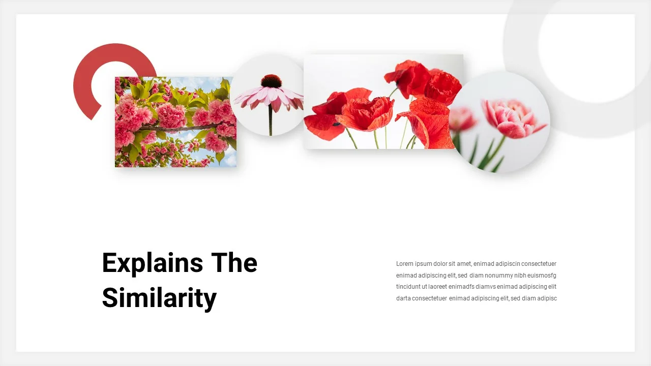 Spring Google Slides Templates with Aesthetic Images