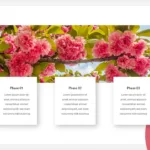 Spring Slide Templates for Google Slides Product Phases Slide