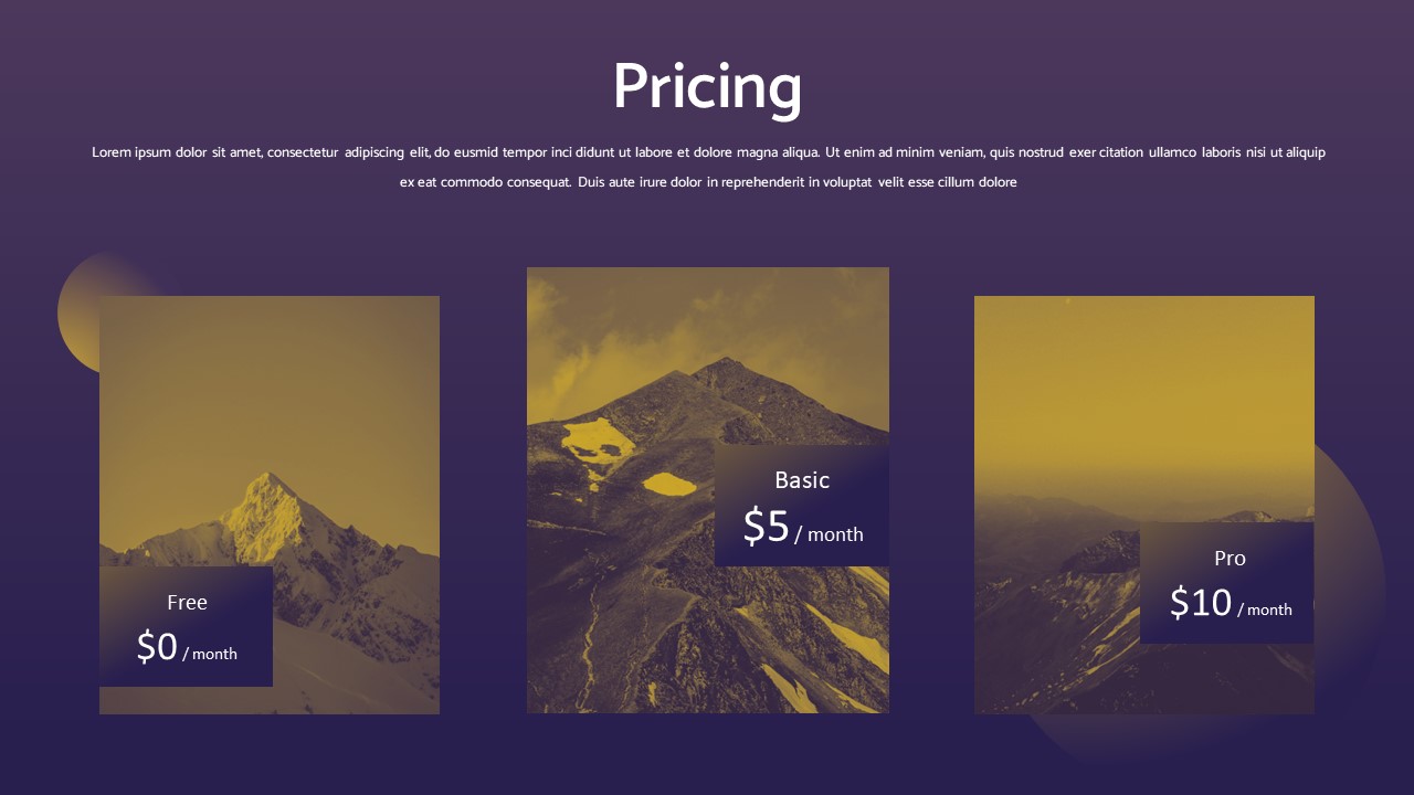 Pricing Slide of Duotone Theme Template