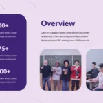 Purple Theme Business Overview Slides