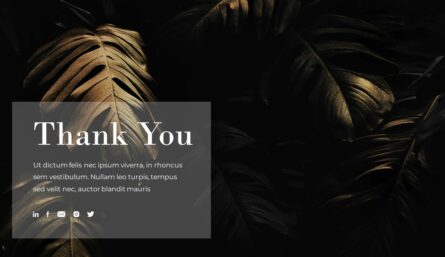 Business Presentation Thank You Template