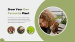 Green Presentation Template 06