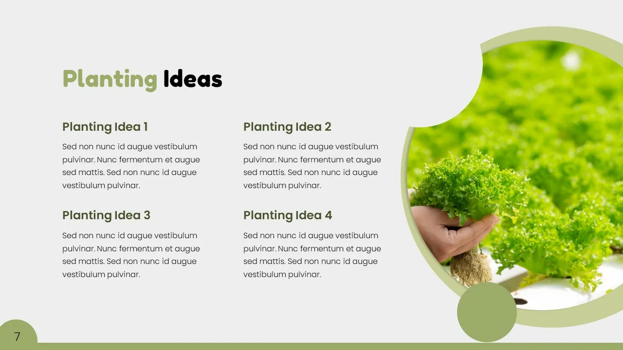 Green Presentation Template 11