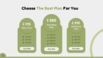 Green Theme Pricing Plan PowerPoint Template