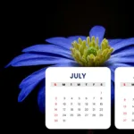 Free Google Slide 2023 Calendar