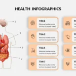 Human Anatomy Health Infographic Template