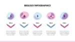 Biology Slides Template