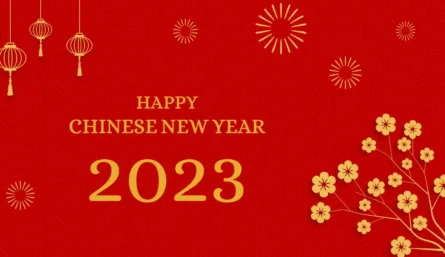 Chinese New Year Presentation