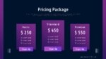 Pricing Package PowerPoint Template