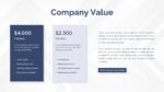 Company Profile Value Presentation