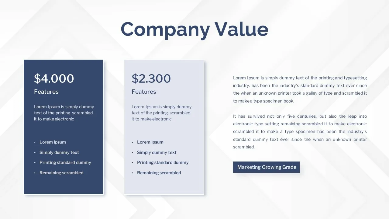 Company Profile Value Presentation