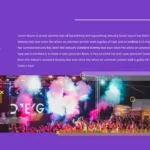 Music Industry Purple Slides