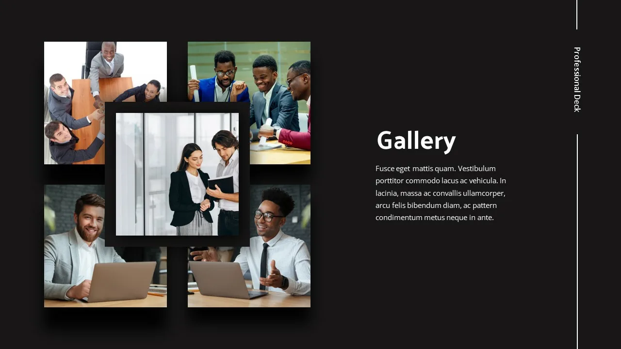 Professional Gallery Slides