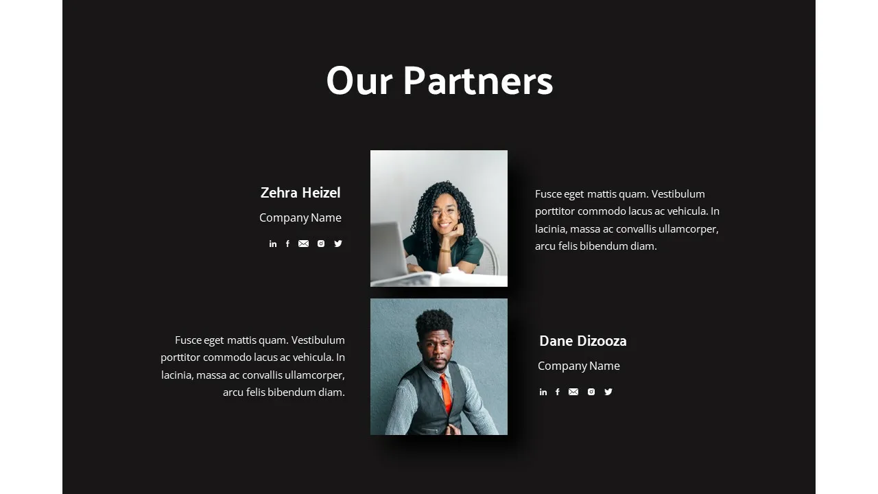 Professional Partners Slide Templates