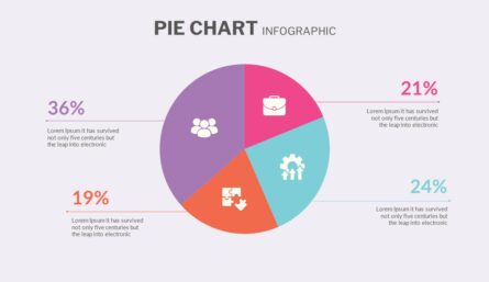 Pie Chart Slide