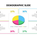 Demographic Slide Template