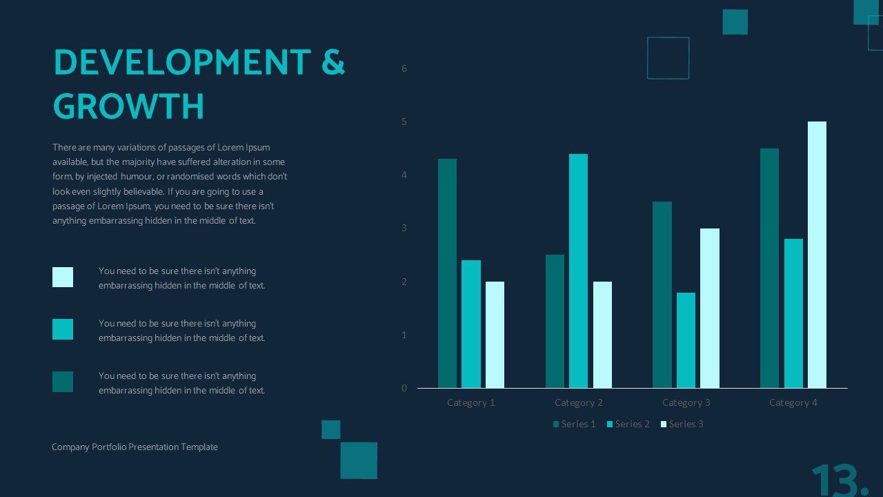 Company Portfolio Presentation 13