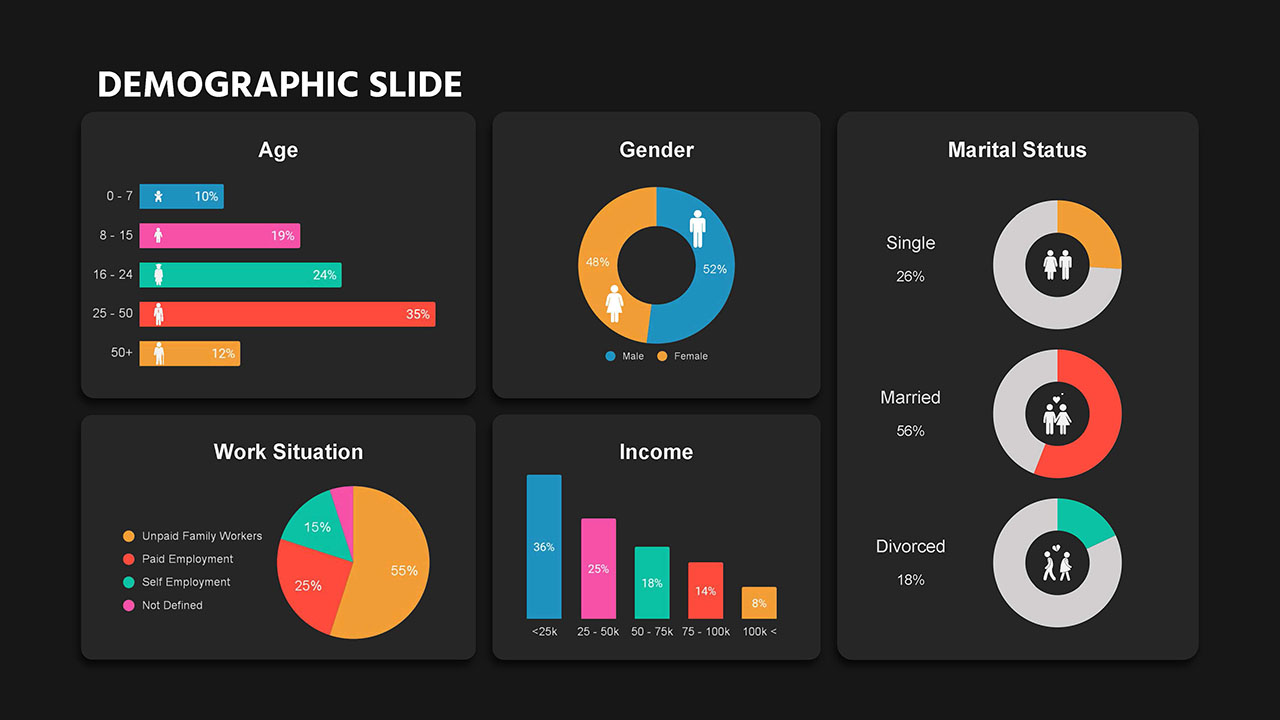 Dark Theme Demographic Slide