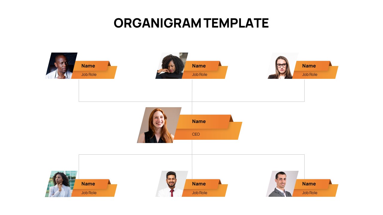 Organizational Chart Slide