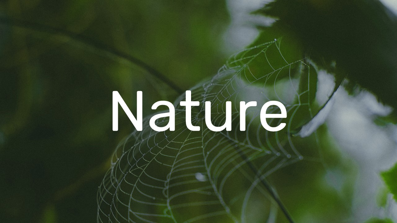 Nature Slide Template 1
