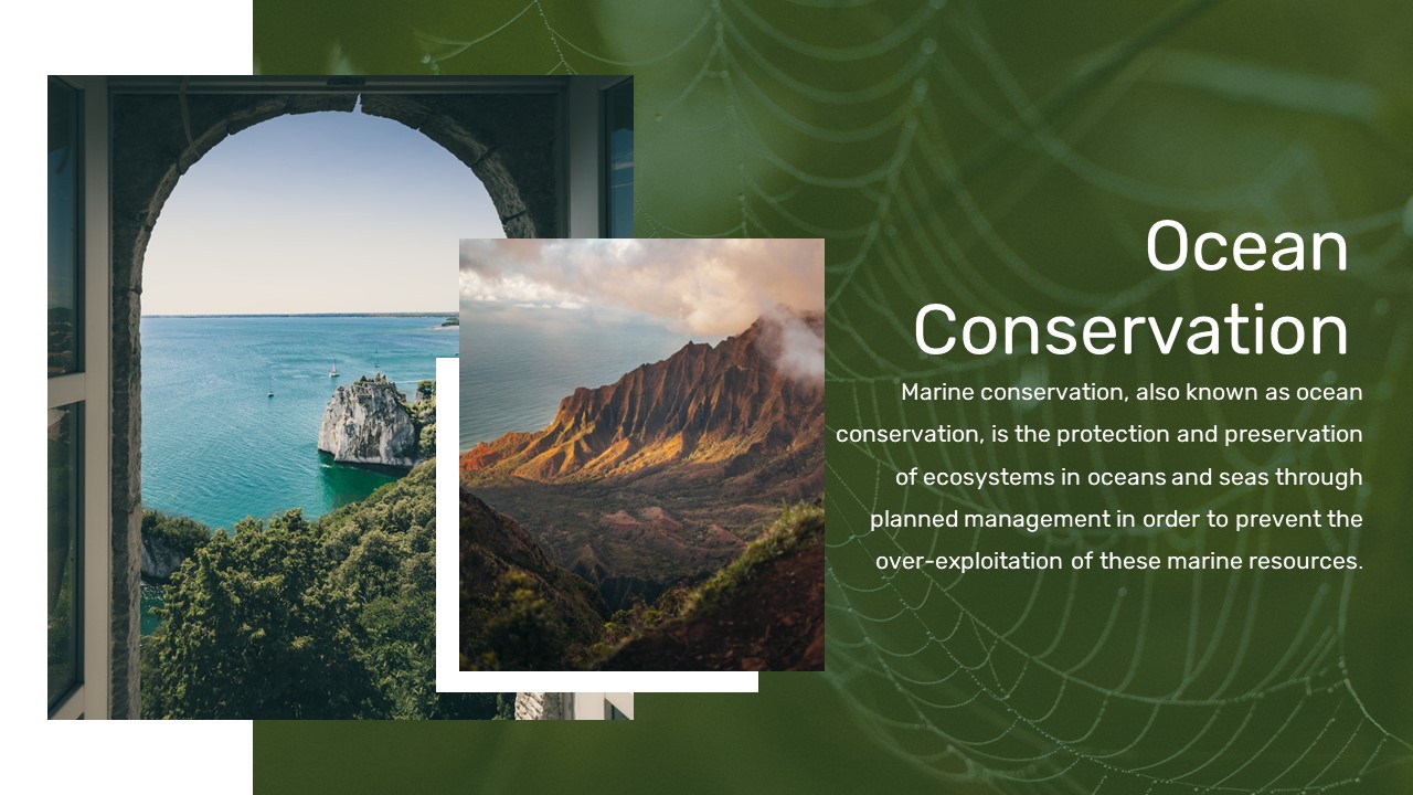 Nature Slide Template 12