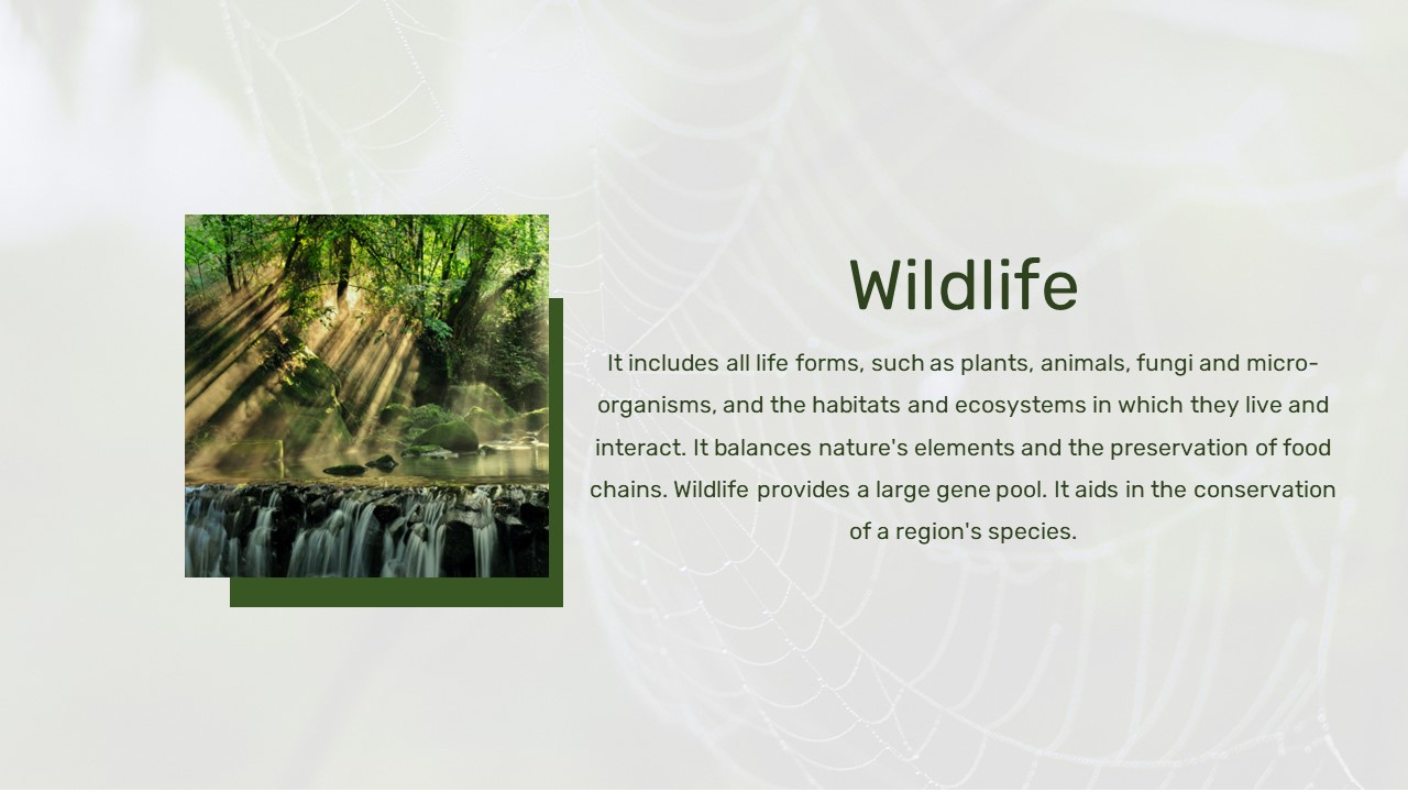 Nature Slide Template 16