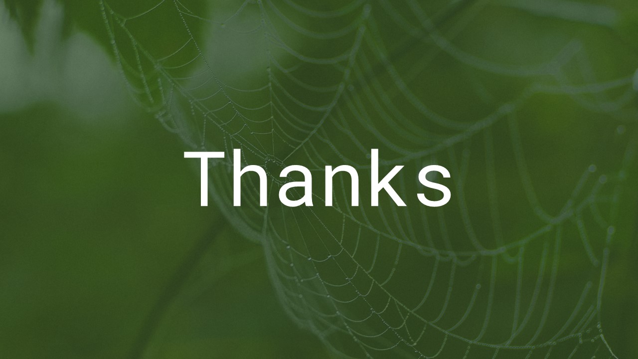 Nature Thank You Slide Template 20