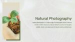 Nature Slide Template 3