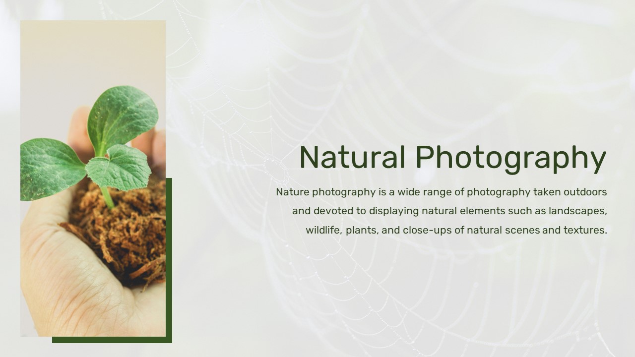 Nature Slide Template 3