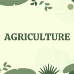 Presentation Template Agriculture 1