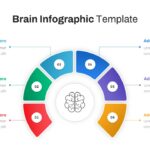 Brain Slide Template