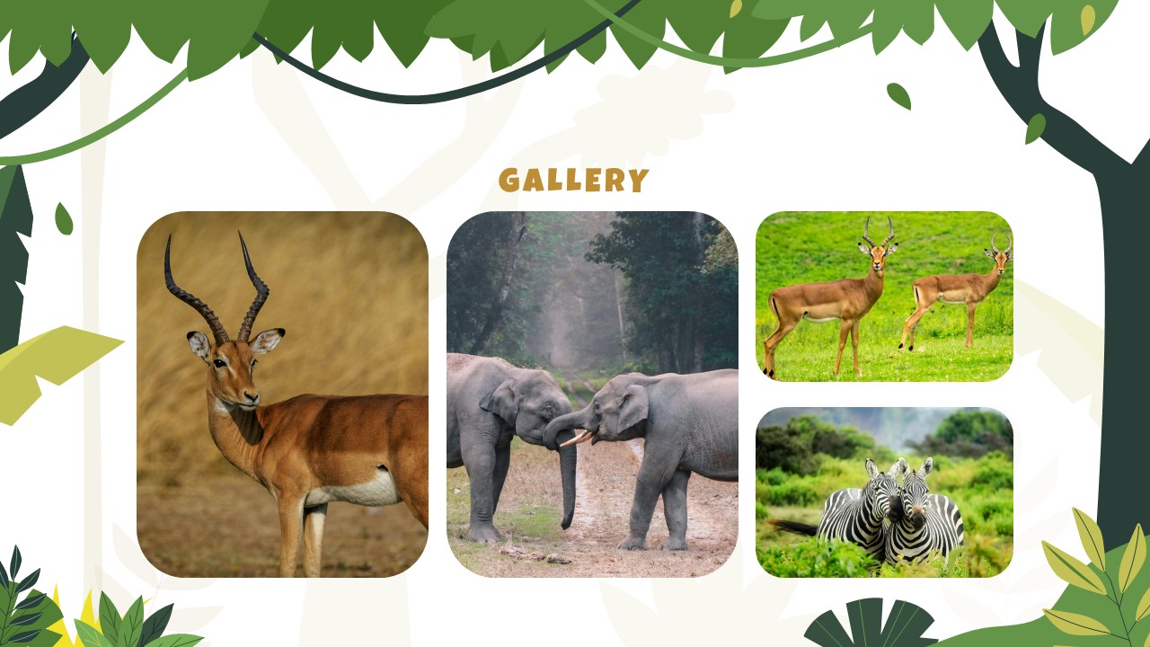 Jungle Powerpoint Presentation 13