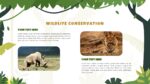 Jungle Powerpoint Presentation 15