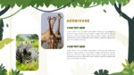 Jungle Powerpoint Presentation 17