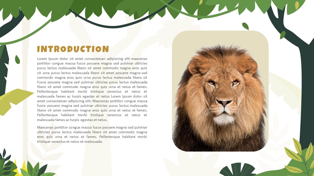 Jungle Powerpoint Presentation 3